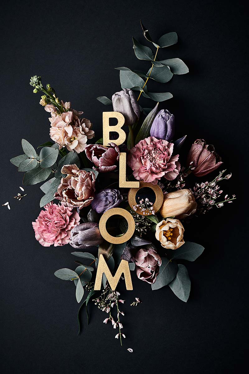 BLOOM Blumenfotografie