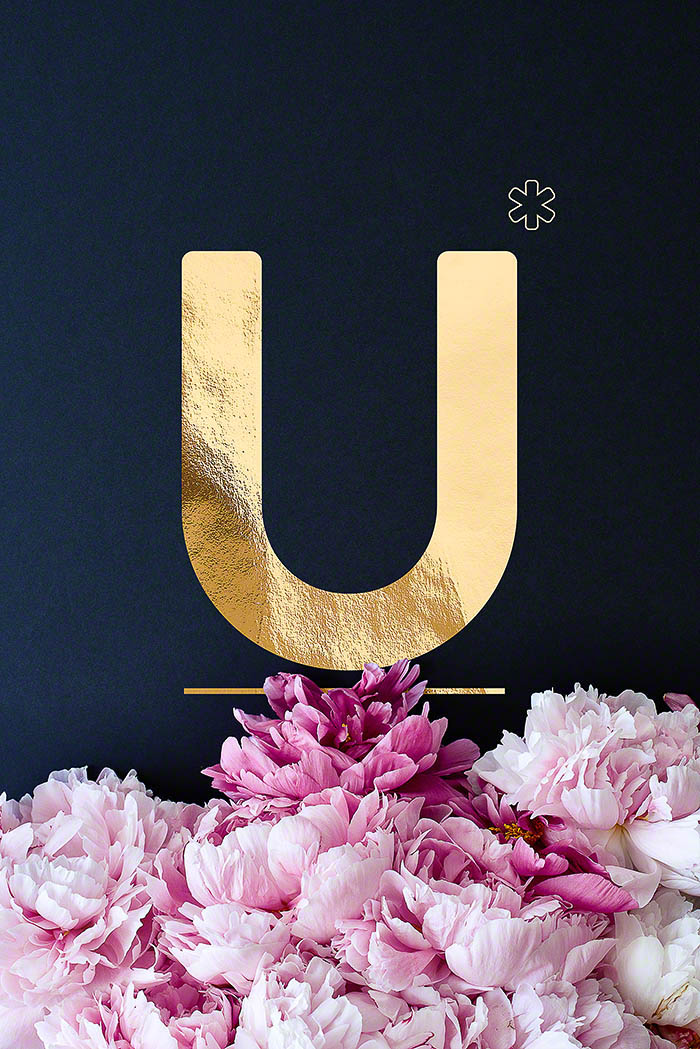 U - Goldenes Alphabet auf schwarzem Hintergrund mit Pfingstrosen